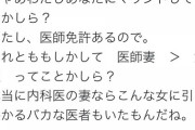 【画像】女医さん「旦那の職業でマウントってw」ニート女さん「ブスww」