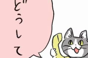 あの超有名VTuberさん、とんでもない衣装を披露してしまう…