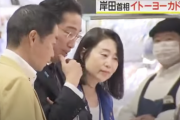 【悲報】岸田首相、イトーヨーカドーを視察「野菜や肉、確かに高くなっている」