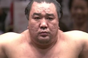 相撲って底辺と横綱のレベルの差はどうなの？