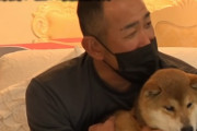 門倉健さん、虐待されていた犬を保護する