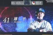 【ヤクルト対広島25回戦】ヤクルト・雄平が引退試合で技ありの左前打！！！！！