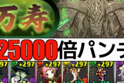 【裏万寿】11〜13分のメルエムピトー編成解説！今度こそ編成難易度低め【パズドラ】