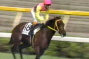 お前らの心を掴んだ競馬の名実況は？