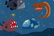 【画像あり】自然発生したとは思えないような新種の深海魚が発見されるｗｗｗ
