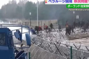 移民から「閃光弾や投石」ポーランド国防省が「ベラルーシ当局から供給」と主張…国境緊張！