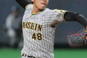 北海道出身の阪神・茨木秀俊が凱旋登板　最速１５０キロ直球で２回２奪三振無失点