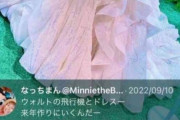 人気声優の櫻井孝宏さん「このウェディングドレス似合うね。来年フロリダで式あげようね」 不倫相手(39)「???」