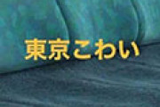 海外「なぜ？ｗ」 日本の電車の床に靴とストロングゼロが置いてあるだけなのに怖いと話題