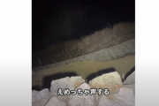 自殺の名所の東尋坊で配信していたユーチューバー「なんか崖下から声がする」 → そこには… うわぁあああああ