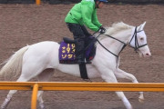 【白馬の桜花賞馬】ソダシのダート初挑戦　いきなりG1・チャンピオンズカップｗｗｗｗ