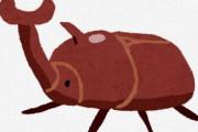 カブトムシの幼虫やさなぎは高タンパクで栄養価も高く低コストなので
