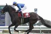 【競馬予想】[1]第27回マーメイドステークス(GIII) /2022