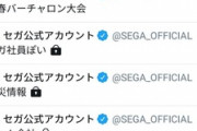 【悲報】セガ公式Twitter、バグにより『社員監視リスト』が明らかになる…