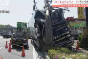 ニャンカスを避けようとしたトラック、大破
