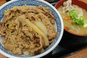 ラーメンや牛丼が290円で食えた時代………