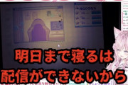 【ホロライブ】配信することでストレス減りそうなホロメンって誰がいる？