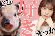 【元HKT48】みおたす、本物の豚を飼うらしい