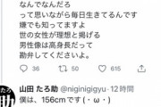 【悲報】炎上中の女プロゲーマーのTwitterリプ欄、悲しいことになってしまう…