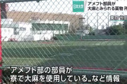 【悲報】日大アメフト部、今度は大麻かｗｗｗ