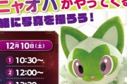 【ポケモンSV】ニャオハ、ヨドバシカメラにやってくる！