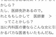 【画像】女医さん「旦那の職業でマウントってw」ニート女さん「ブスww」→→→