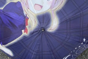 【画像】最高にお前ら向けの傘が見付かるｗｗｗｗｗｗｗｗ