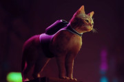 猫になってサイバーパンク都市を冒険するゲーム⇐言うほどやりたいか？