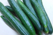 キュウリ「栄養ないです、味ないです」←こいつが持て囃される理由
