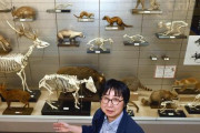 【千葉】本州唯一の「クマなし県」、縄文時代まで遡っても痕跡確認されず…「仮に来ても定着しない」