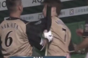 【動画】中田翔と西川遥輝が殴り合い