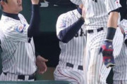 国際試合での貧打解決へ金子誠コーチ「シーズンの中で外国人投手の数を大幅に増やすか、球団数を増やして外国人選手だけのチームを１チームつくろう」