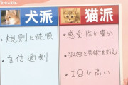 「俺、犬派だから…」彼女の子猫を殴り殺した容疑で男子大学生逮捕  [10/7]