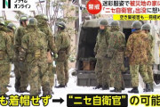 ニセ自衛隊員が空き巣行為を行っている模様。見つけ次第に射殺しろ  [1/11]