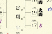 【悲報】大谷翔平さん、姓名判断の結果がひどい