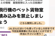IMALU“飛行機のペットの貨物室積み込みを禁止”署名活動に賛同「命が全員助かったとは言い切れない」すでに22000人の署名集まる