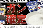 【画像】ガン確定のヨーグルト食ってる奴ｗｗｗｗｗ
