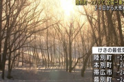 北海道でマイナス27.9度を観測ｗｗｗｗｗｗｗｗ