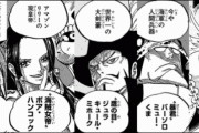 【悲報】七武海さん、「ミホーク」と「ハンコック」以外雑魚しかいない・・・