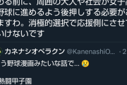 【野球】Vtuber「女子を応援側に回らせて美談にさせる時代は終わりにしませんか…？」