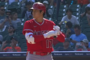 7月大谷打撃成績   打率.250  本塁打9  打点14