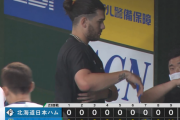 日本ハムファイターズ、散発5安打完封負けっ！