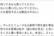 【悲報】例のメルカリで桃を販売してた人、心無い誹謗中傷に心を痛めるｗｗｗｗ