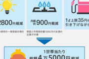 東京電力など大手電力10社　政府支援受け値引き発表「1ヶ月約2800円」