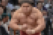 【画像】力士、ムキムキだった