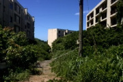 夏に撮った写真あげていくよ