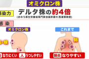 【コロナ速報】オミクロン株、東京で市中感染確認…空港検疫以外では国内初