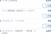 【画像】ワイの12月のクレカ利用料金、金額がヤバイ事に・・・