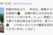 ネットで拡散中！ビッグモーター皮肉でダイハツの街路樹紹介が「面白すぎる」と話題に！