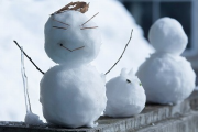 【画像あり】雪が積もってたのでワイが作った雪だるま見てくれや